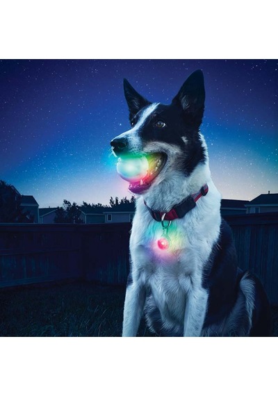 Nite Ize Glowstreak Led Işıklı Pilli Köpek Oyun Topu