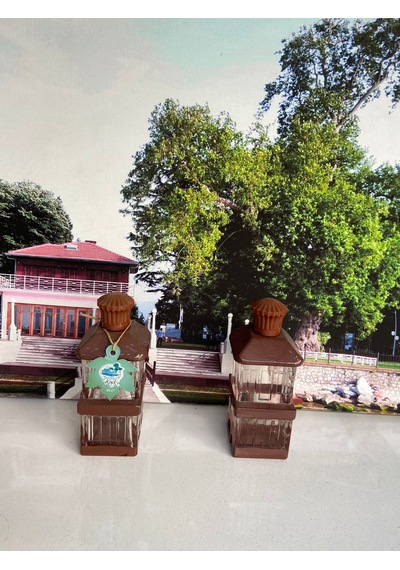 Atatürk Yürüyen Köşk Kolonyası