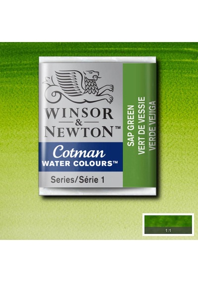 Winsor & Newton Cotman Yarım Tablet Suluboya Sap Green 599 Karışık