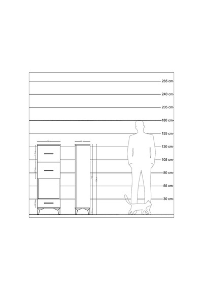 Arges Dolap Tek Raflı 3 Çekmeceli 44x30x134 Çam-antrasit Atlas Çam