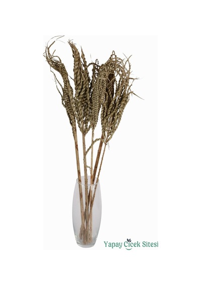 Yapay Çiçek Sitesi Kuru Çiçek Doğal Yılan Örgü Palm Snake Stems 75 Cm 5li Naturel