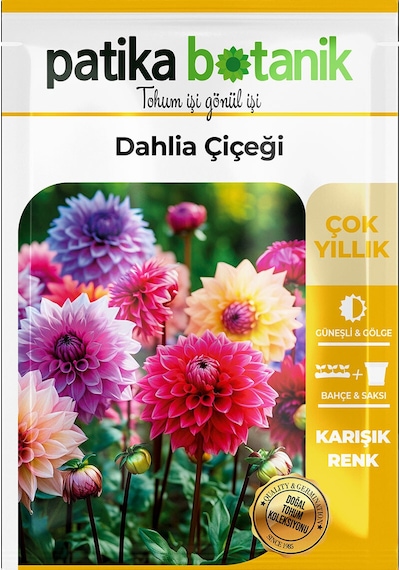 Patika Botanik 30 Adet Dahlia Yıldız Çiçek Tohumu