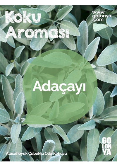 Golonya Alacahöyük Çubuklu Oda Kokusu 120 ML