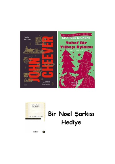 John Cheever - Toplu Öyküler + Tuhaf Bir Yılbaşı Öyküsü + Bir Noel Şarkısı