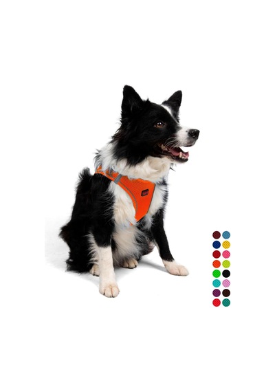Tailpetz Air-mesh Küçük Ve Orta Irk Kedi Köpek Göğüs Tasması - Yumuşak, Nefes Alabilir, Dayanıklı Neon-turuncu, Xlarge Sku: Zeusb097lvb26x Açık Bej - Bej