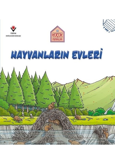 Hayvanların Evleri-Küçük Mimarlar - Saranne Taylor - Tübitak Yayınları