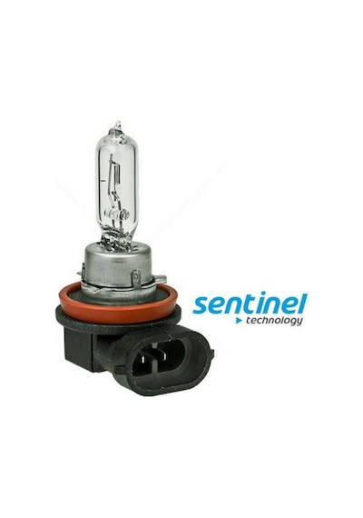 12v 65w H9 Far Ampulü Eğri Soket Bajaj Modelleri Uyumlu