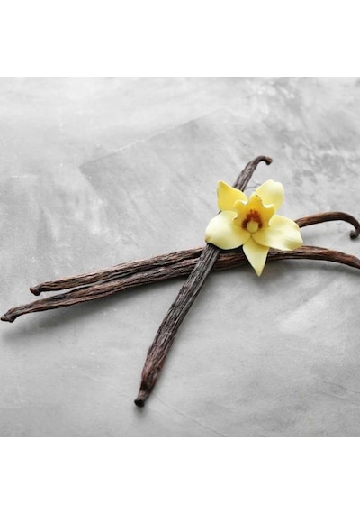 10 Lu Çubuk Vanilya Vakumlu Paket Doğal Aromalı Vanilya Çubuğu