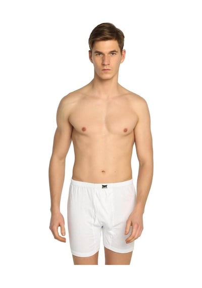 Gümüş Erkek Arjantin Boxer 3007 - 6 Adet