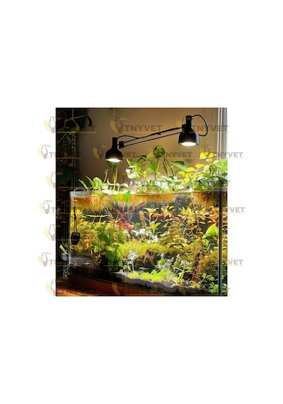 100 Watt Set / Kızılötesi / Gün Işığı Şeffaf Isıtıcı Lamba Ve Kullanıma Hazır Kablolu Duy Seti