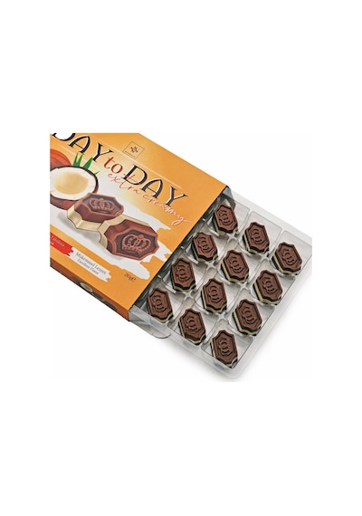 Day To Day Hindistan Cevizli Sütlü Çikolata 210 Gr