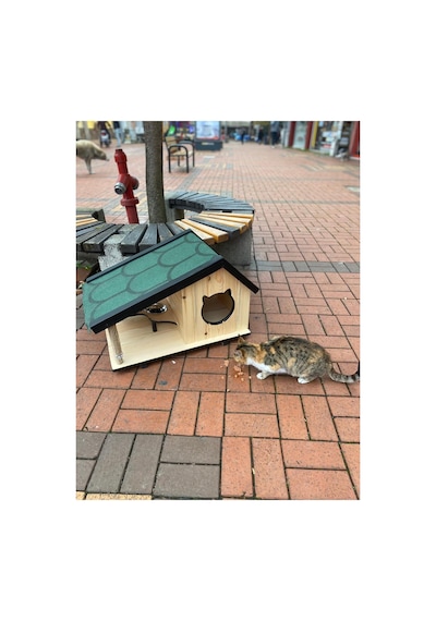 Kedi Yuvası Kedi Evi Özel Üretim İç Ve Dış Mekan Tırmalama Ve Mama Kablı 74x45 Cm