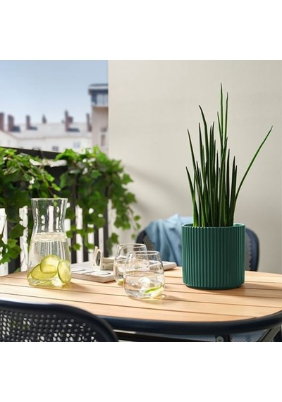 Ikea Daksjus Toprak Saksı, Koyu Yeşil
