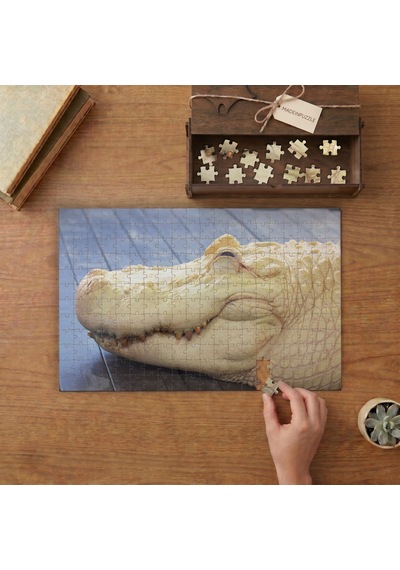 Uyuyan Albino Timsahı Tasarımı 240 Parça Ahşap Puzzle Ahşap Kutuda Mpy20466