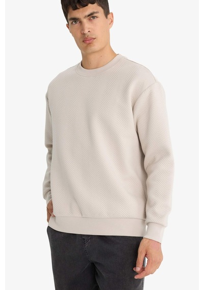 Defacto Relax Fit Bisiklet Yaka Sweatshirt E9536ax25aubg766 Bej