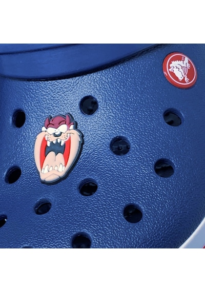 Crocs Terlik Süsü & Renkli Aksesuar Jibbitz (475024163) Çok Renkli