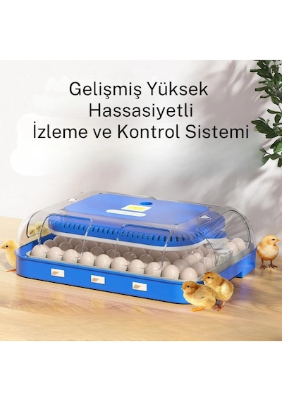70 Yumurta Kapasiteli Tam Otomatik Kuluçka Makinesi Nem Kontrollü, Kaz Uyumlu, Dijital Sistem