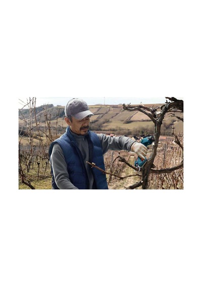 Tr Pro Pruner Akülü Bahçe Makası 12 Volt, Solo, Ahşapta Kesme Kapasitesi Ağaç Dalı : 25 Mm, Karton Kutuda
