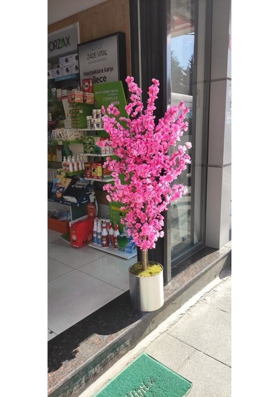 Rüzgar Yapay Çiçekcilik 160 Cm Pembe Bahardali Pembe