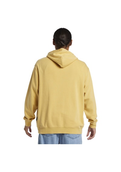 Quiksilver Salt Water Hoodie Erkek Sweatshirt Renkli