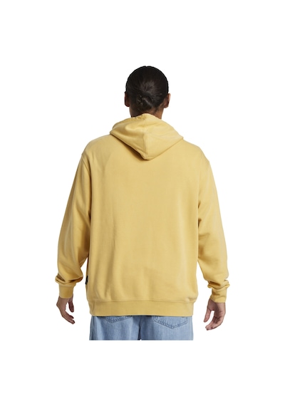 Quiksilver Salt Water Hoodie Erkek Sweatshirt Renkli