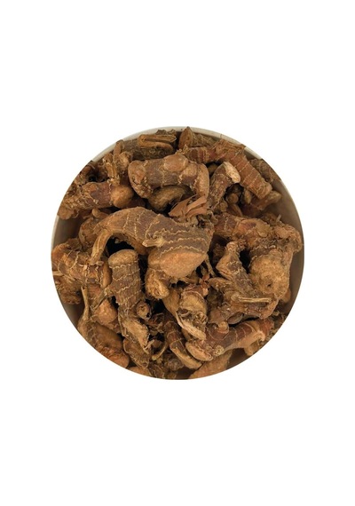 Havlıcan Kök 500gr