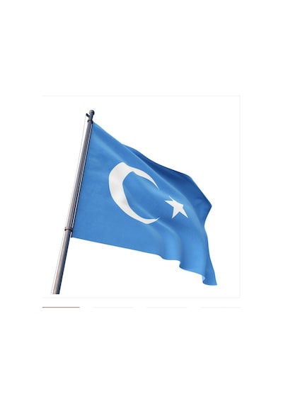 Doğu Türkistan Bayrağı Gök Bayrak 70X105CM