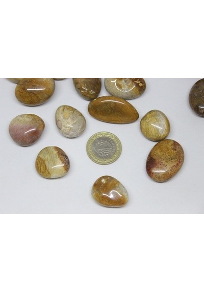 Tibet Akik Taşı ( 10-19 Gram)