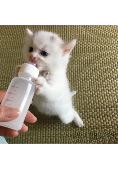 Ayrex Tineke Yavru Kedi Köpek Biberonu 2 Emzikli 50 Ml 1 Adet