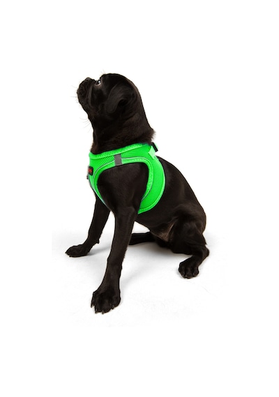 Air-mesh Küçük Ve Orta Irk Kedi Köpek Göğüs Tasması - Yumuşak, Nefes Alabilir, Dayanıklı Neon Yeşil Neon Yeşil