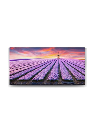 Yel Değirmeni Ve Lavanta Tarlası Tablosu - 120x60cm