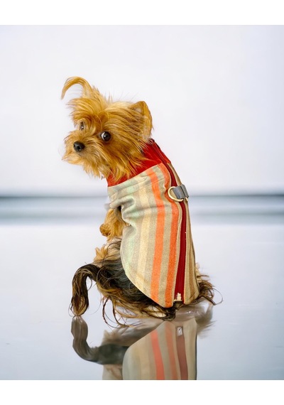 Kemique Stripe Orange Su İtici Köpek Yağmurluğu