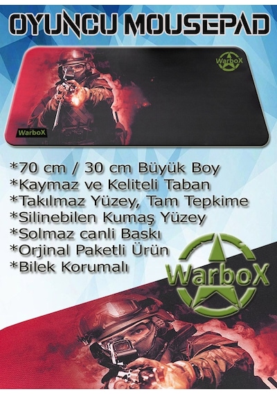 Warbox Bully X5650 16 GB 256 GB SSD 4 GB R7240 22" W10P Masaüstü Oyuncu Bilgisayarı