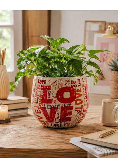 Love Metal Saksı S
