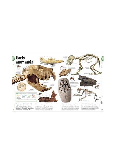 The Rock And Gem Book: ...and Other Treasures Of The Natural World