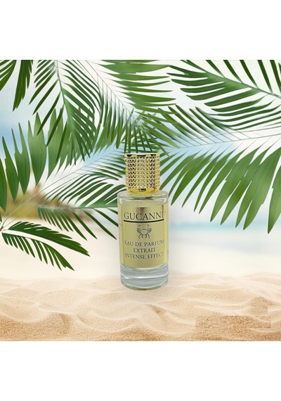 Lexroo Terre'd Hermes 75ml Edp Erkek Parfüm Ultra Kalıcı Biz Daha Iyisini Yapana Kadar En Iyisi Bu Diğer