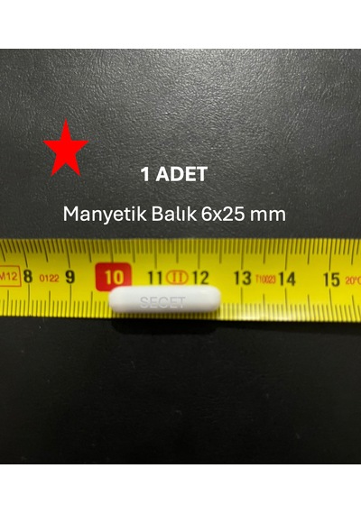 Manyetik Balık 6x25 Mm - Boy:25 Mm - Çap:6 Mm - 1 Adet