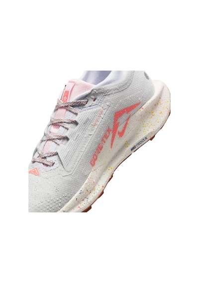 Nike Pegasus Trail 5 Gore-tex Fq0908-009 Çok Renkli