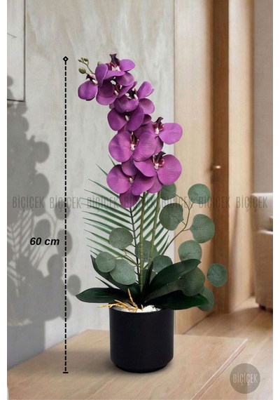Yapay Phalaenopsi S Mor Orki De 60 Cm Siyah