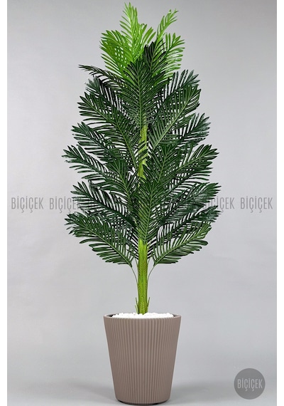 Yapay Areka Ağacı 160-180 Cm Ss