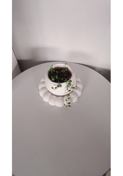 Sükulent Saksı Ve Tabağı 0,30 L
