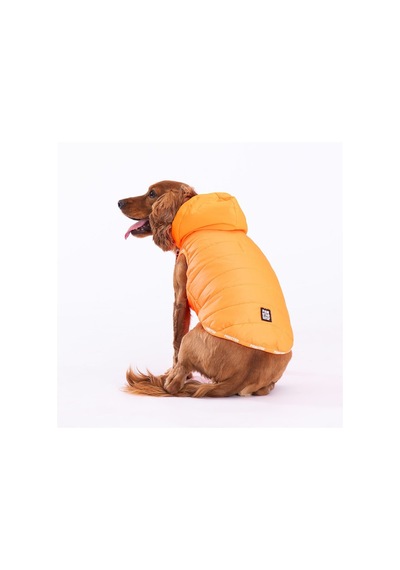 Pawstar Neon Turuncu Railway Küçük Irk Orta Irk Köpek Yeleği