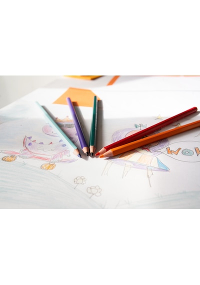 Bic Kids Tropicolors Kuru Boya  Kalemi 24 Renk
