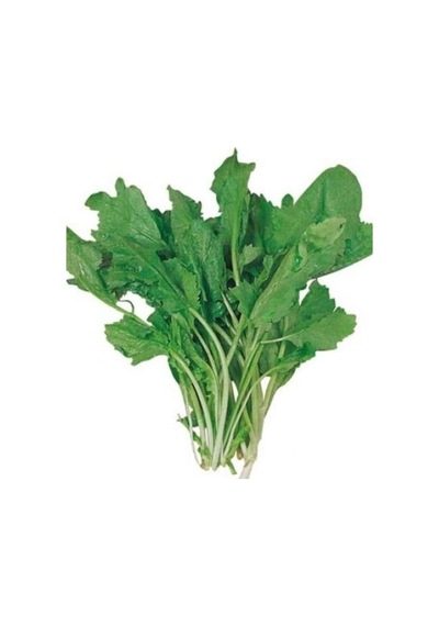 Tere Tohumu 10 Gr 0,5 Mm-10 Metre