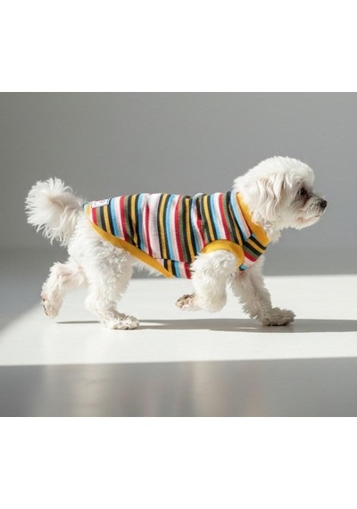 Miniş Striped İnce Triko Küçük Irk Köpek Kazağı-21585