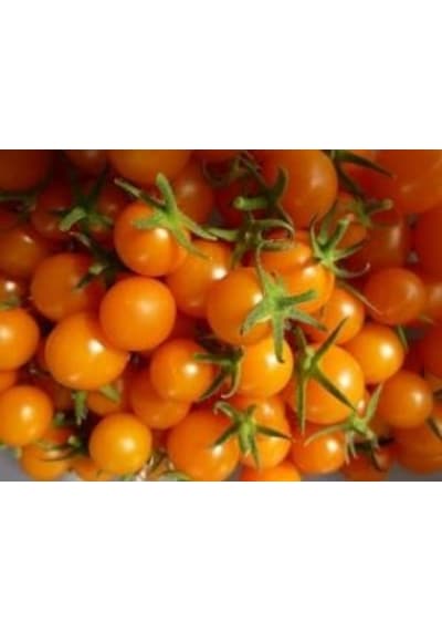 Turuncu Cherry Domates