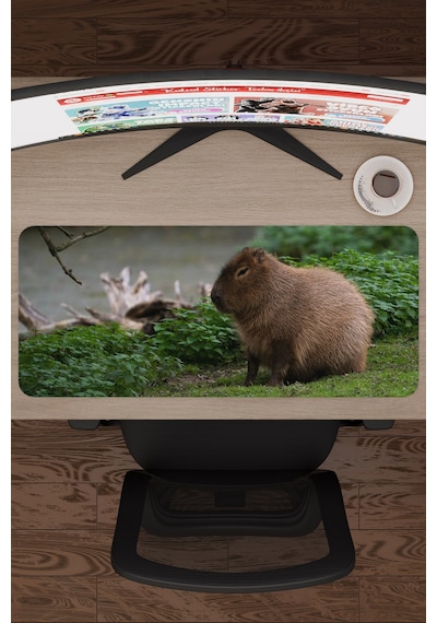 Capybara Kaymaz Dikişli Kauçuk Oyuncu Mousepad V5 - 70x30 Xl Gaming Mouse Pad Fare Altlığı