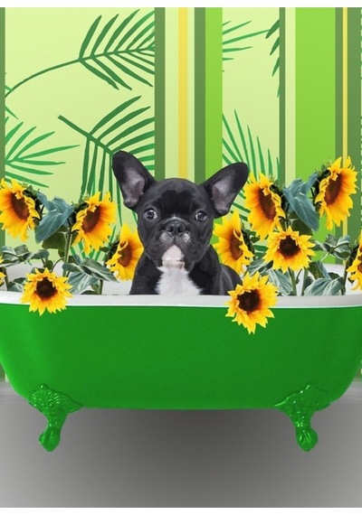 Tablo Ahşap Poster Dekoratif Ayçiçeği Ile Banyoda Fransız Bulldog Ahşap Çok Renkli Çerçevesiz
