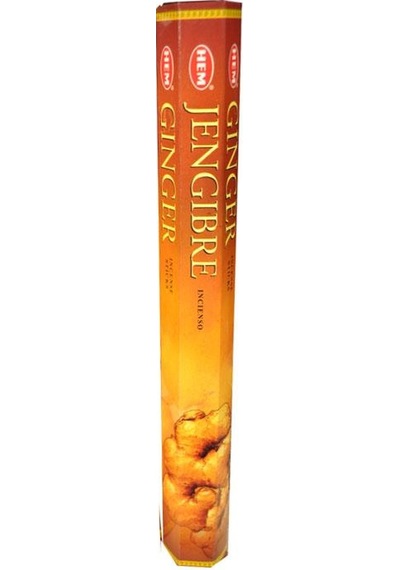 Hem Tütsü Ginger 20 Çubuk
