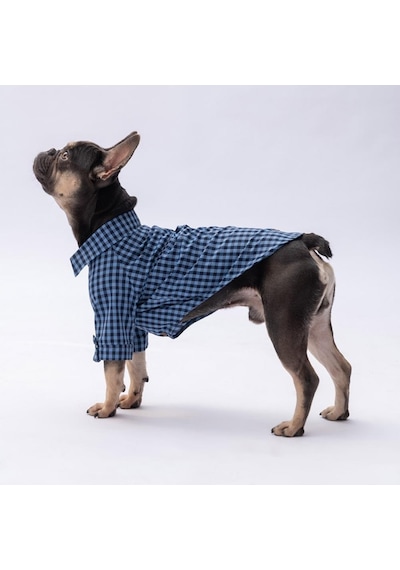Mavi Luss Kedi Köpek Gömleği - Kedi Köpek Kıyafeti